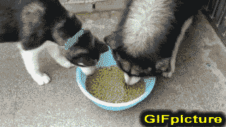 QQ图片20150127133151.gif