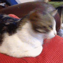 QQ图片20151215124658.gif