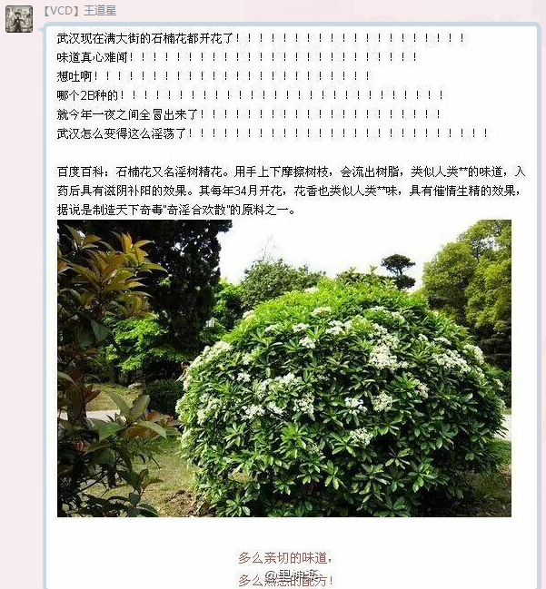 QQ图片20160402091321.png