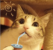 09.gif