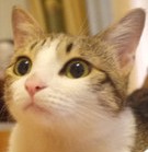 47.jpg