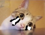53.jpg