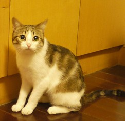 55.jpg