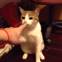 118.gif