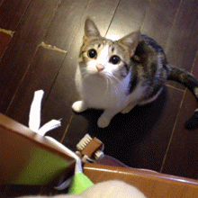 128.gif