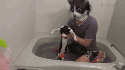 QQ图片20161011154636.gif