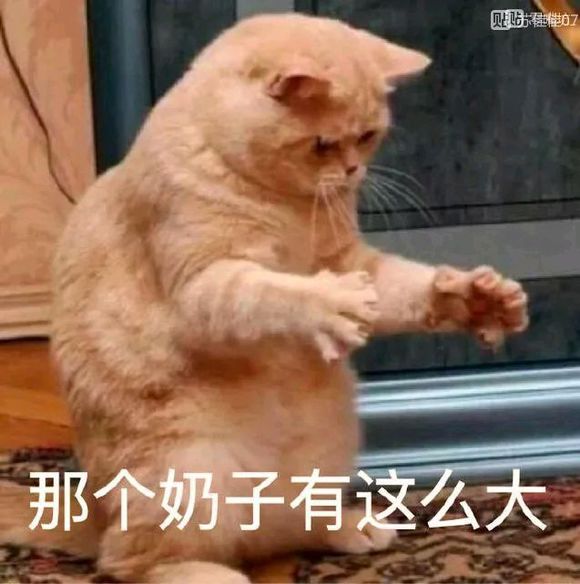 e512e632f27d1a9a790961cf0ee2b561_60b69e3df8dcd1005ff4b479788b4710b8122feb.jpg