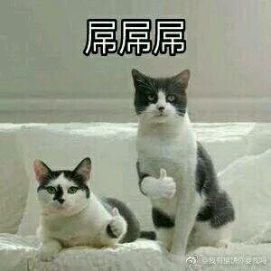 b95d8f7dcabe279fa94fa5c585f1c414_75aca2cc7cd98d10aac853592b3fb80e7bec902f.jpg