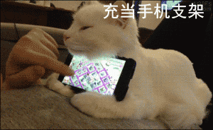 t01c054c503099f8098.gif