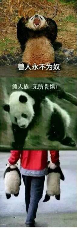 83c3cac27d1ed21b246f3584a76eddc450da3f87.jpg