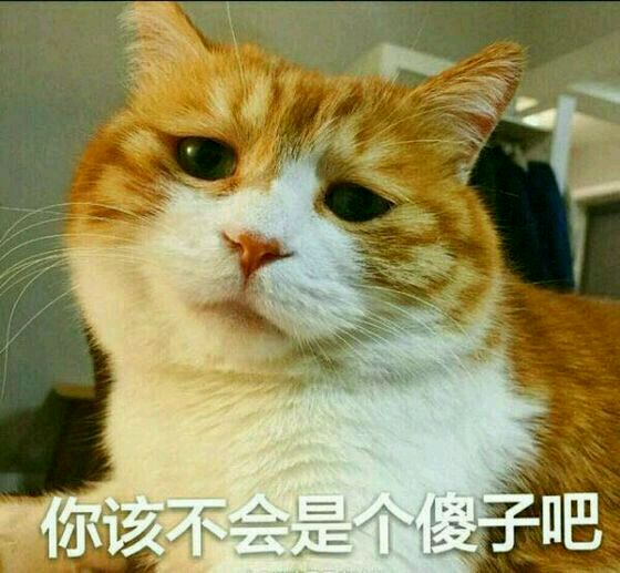 050cfe7b9541654c512a190dc7fc1cd8_3c78c83d70cf3bc78818bcfcdb00baa1cd112a72.jpg