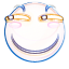 17.png