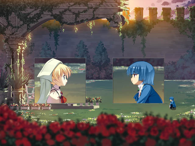 ED-27.5-2.jpg