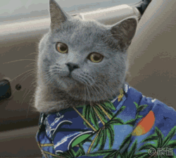 QQ图片20160812202200.gif