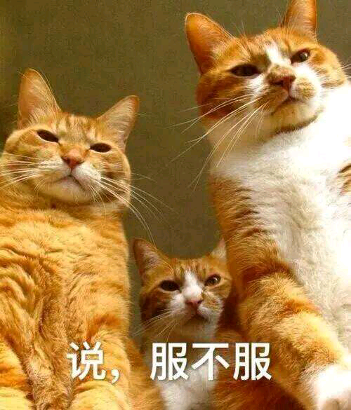 5C2824EDF5BAC53070A3B920B2A201C0.jpg