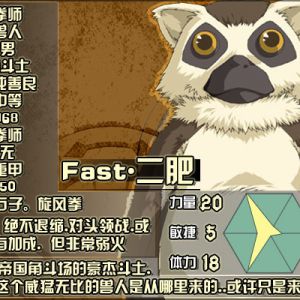 DND-11二肥.jpg