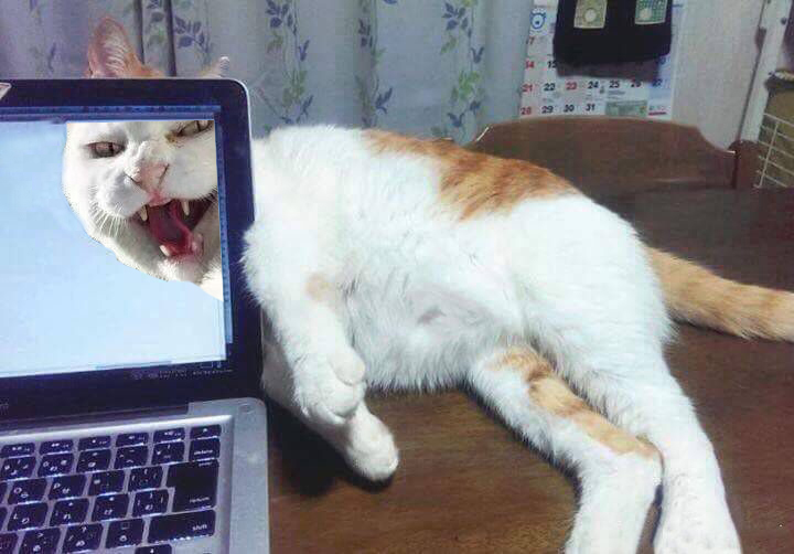 搞事.jpg
