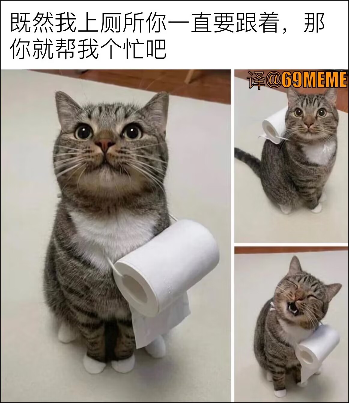 QQ图片20230926091921.jpg
