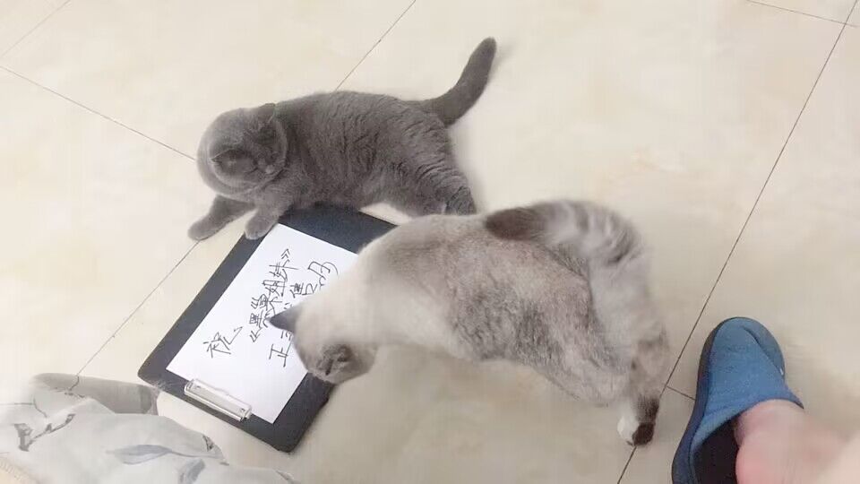 QQ图片20231104234548.jpg
