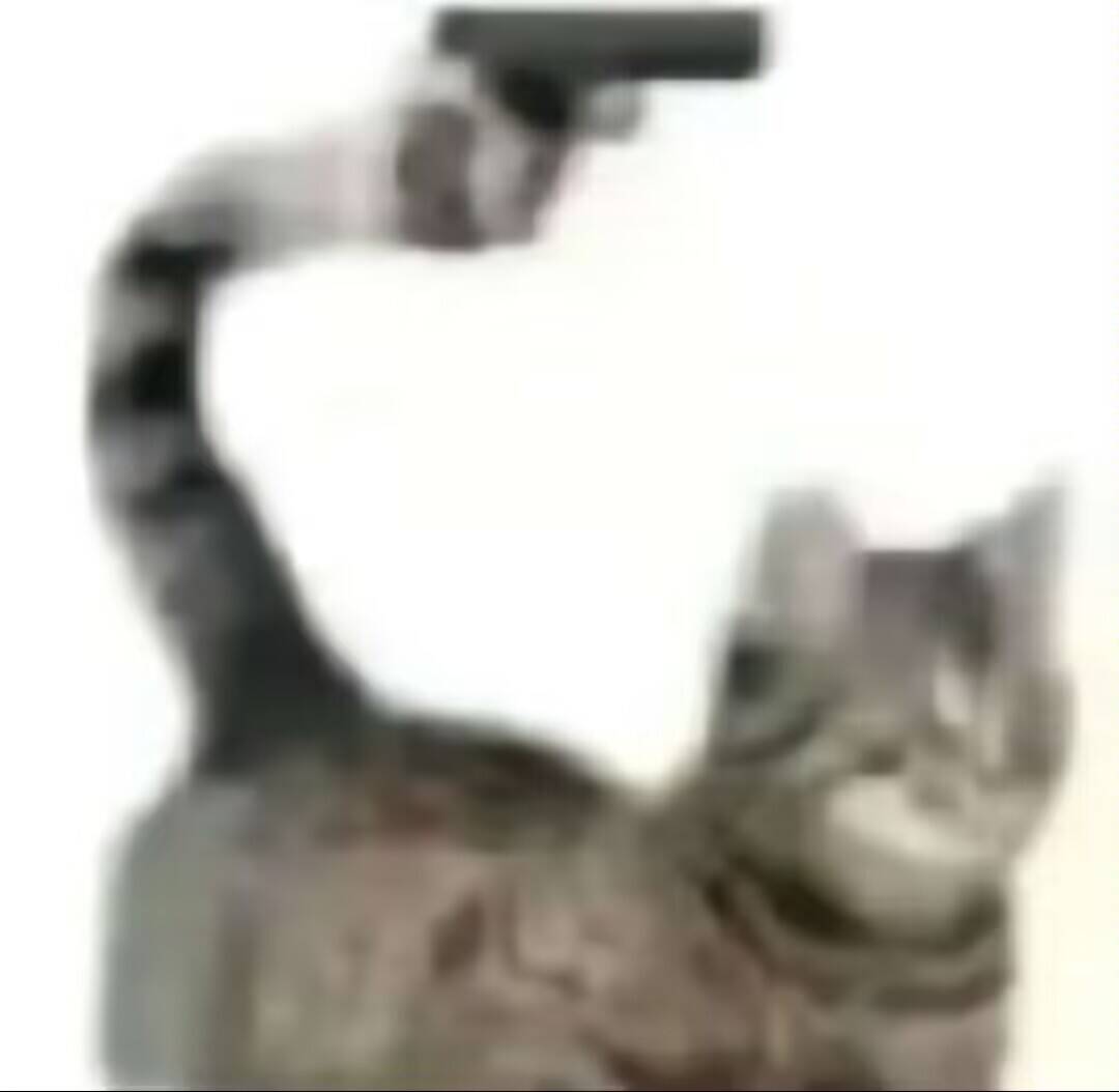 QQ图片20250201202750.jpg
