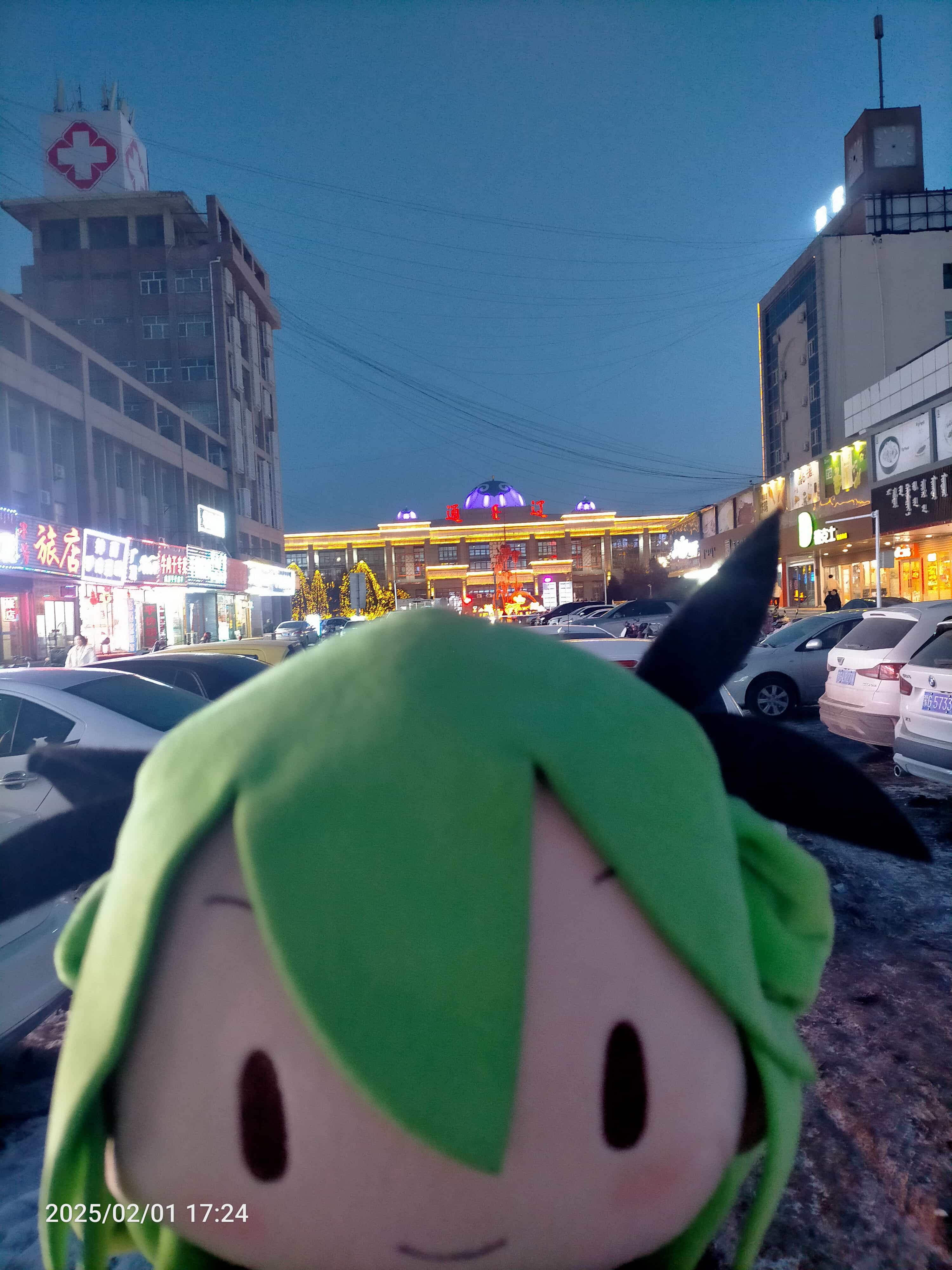 IMG20250201172419.jpg