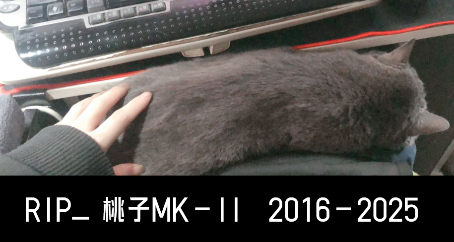 QQ图片20250310212643.png