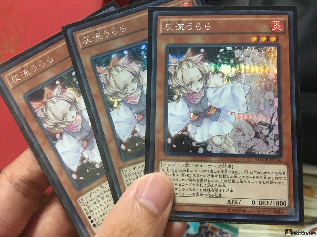 QQ图片20170730114138.jpg
