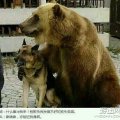 我的相册
