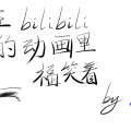 我的相册