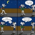 我的相册