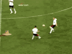 2.gif