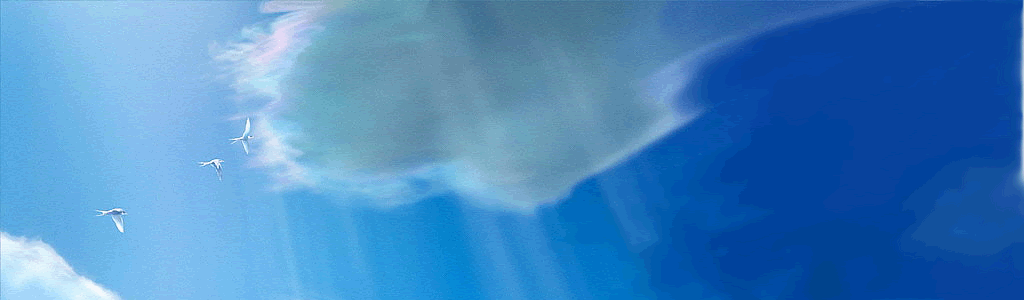 bg (2).gif