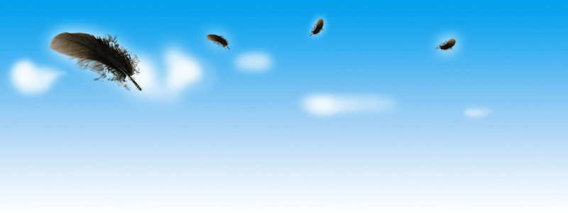 bg.gif