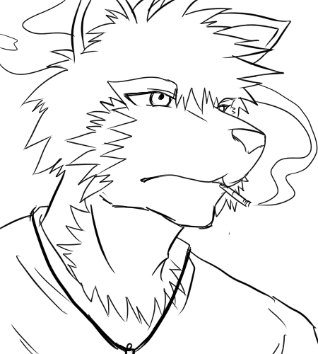 威尔2.png