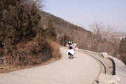 45332.gif