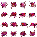 蜘蛛1.png