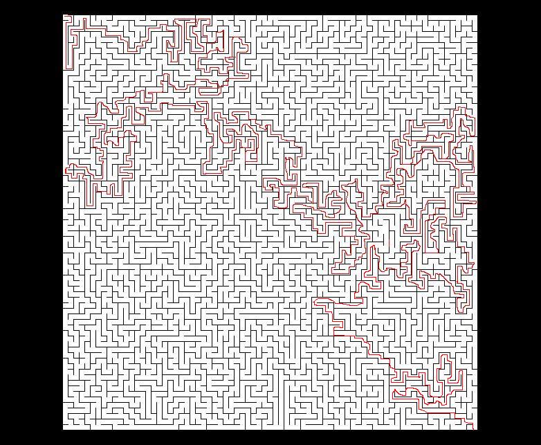46464564.jpg