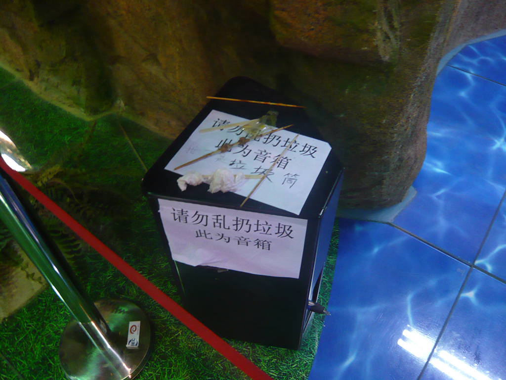 P1010500.jpg