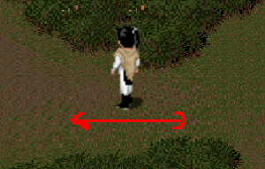 444444.png