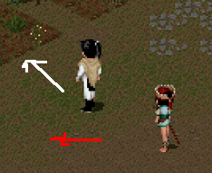 222222.png