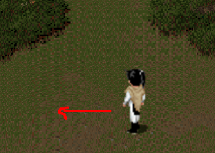 333333.png