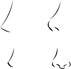 鼻子对比.png