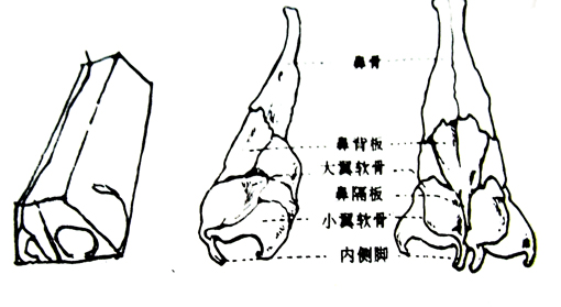 漫画技法第三讲参考图 (15).jpg