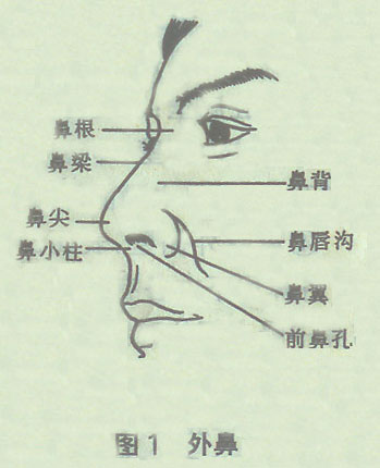 漫画技法第三讲参考图 (22).jpg