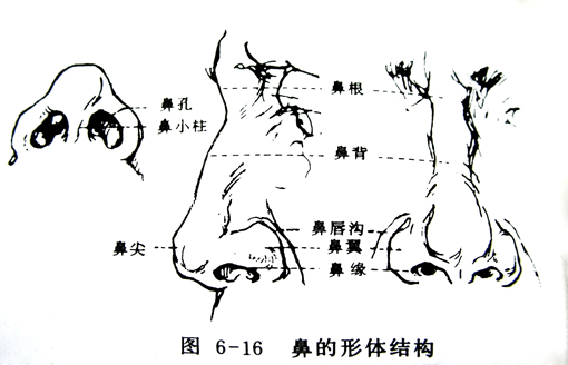 漫画技法第三讲参考图 (23).jpg