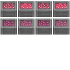火炭.png