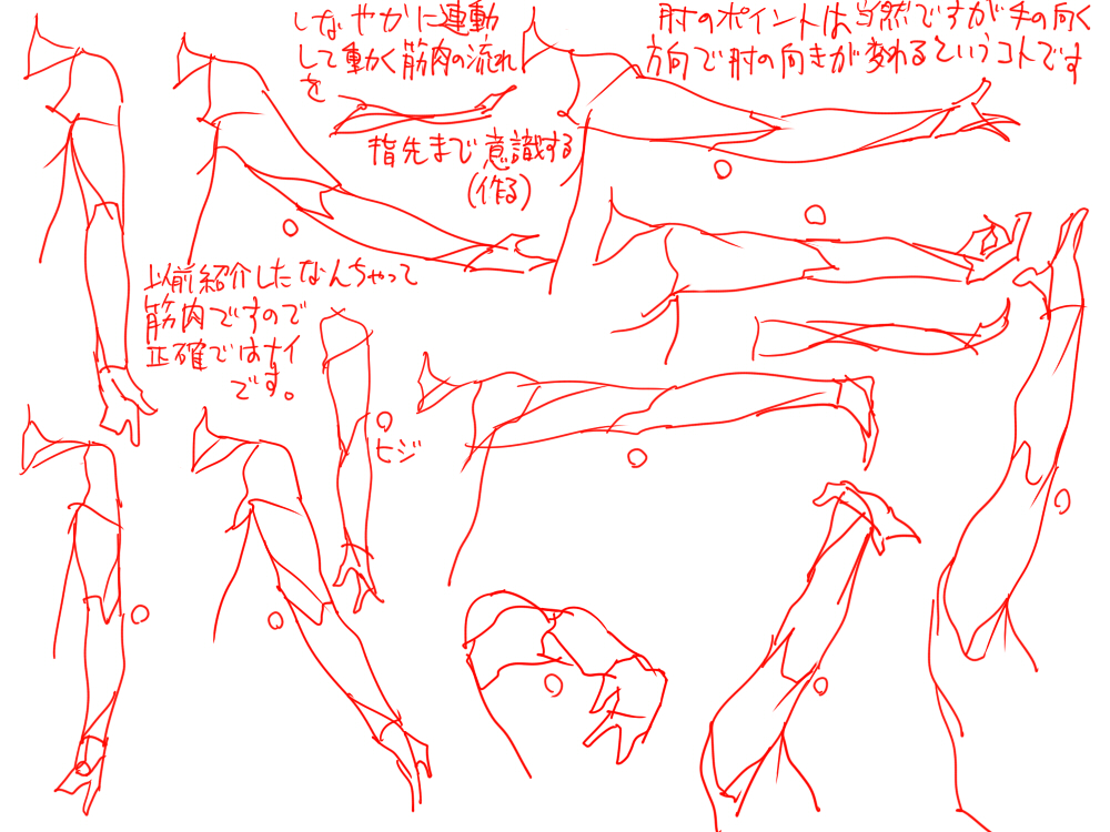 13467871_p2.jpg