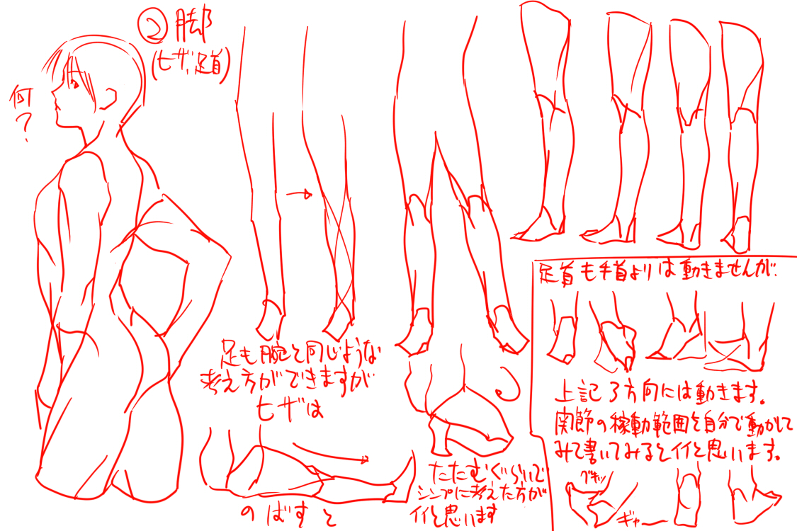 13552161_p1.jpg