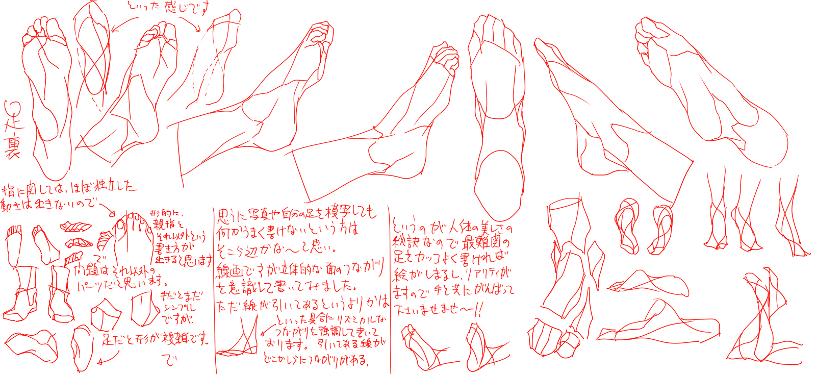 13229502_p1.jpg