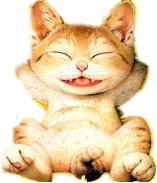fsddddddddd.png